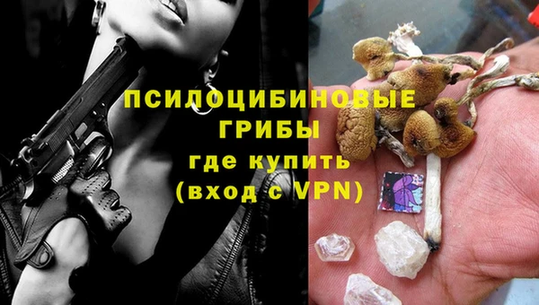 синтетический гашиш Зеленодольск