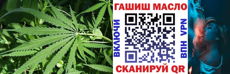Купить Новопавловск ТГК концентрат